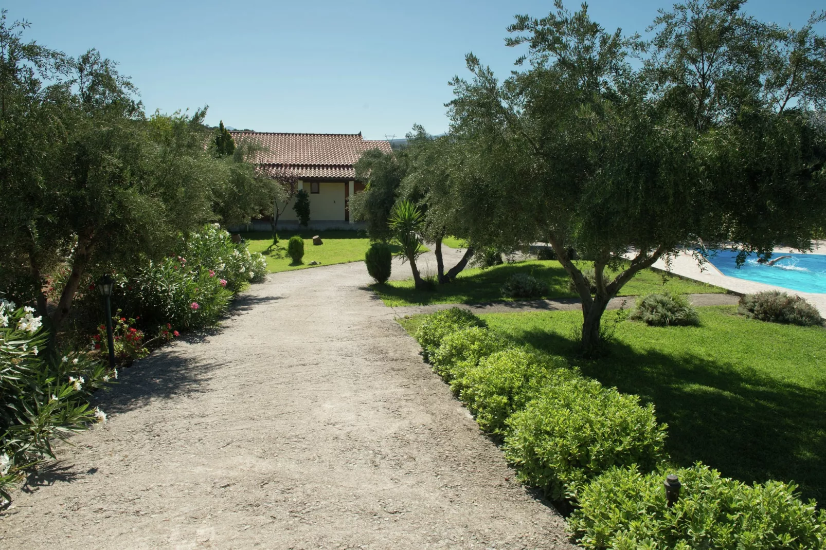 Villa Eleni en Manolis-Gardens summer
