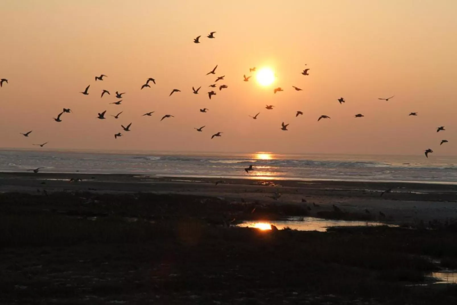 Duinchalet-Gebiete Sommer 20 km