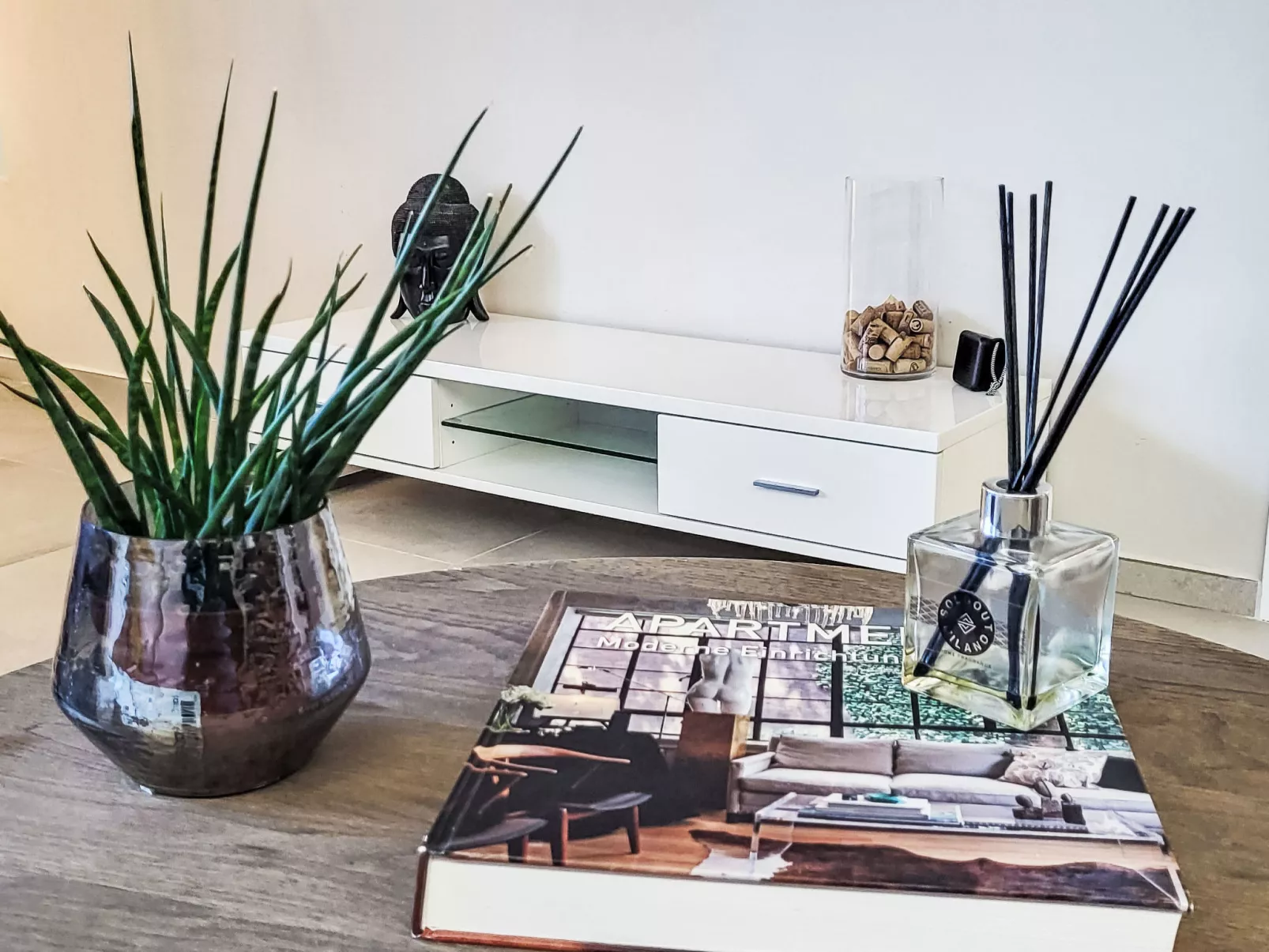 Blue Vista Lugano Apt.616 - Dedans