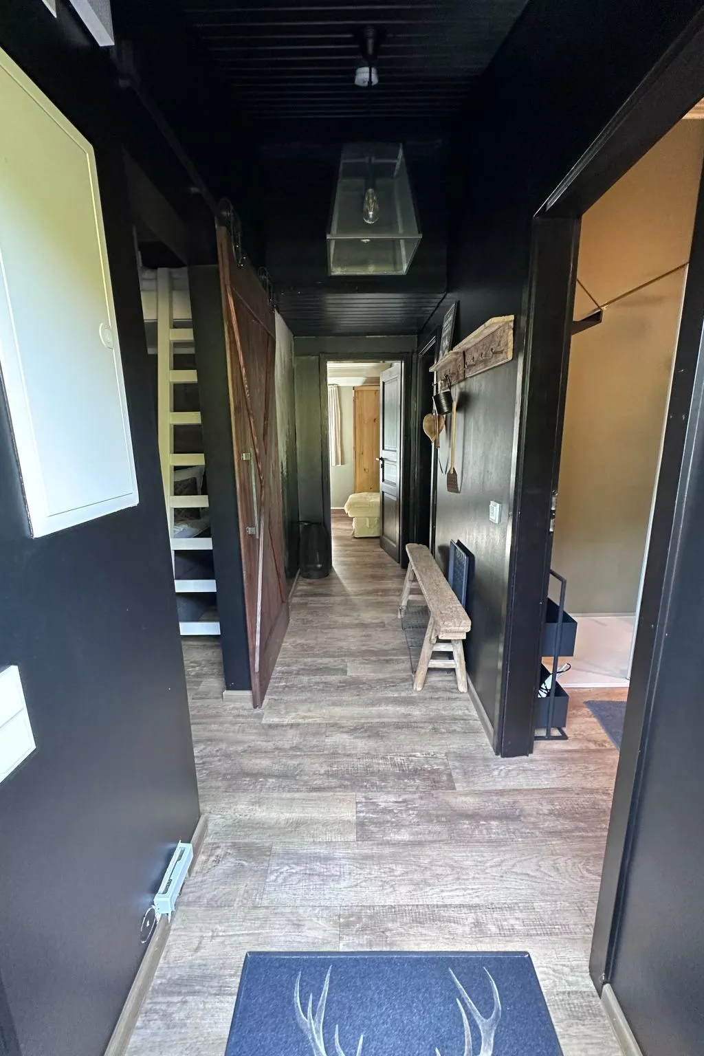 Bergwild - Image-tags.info