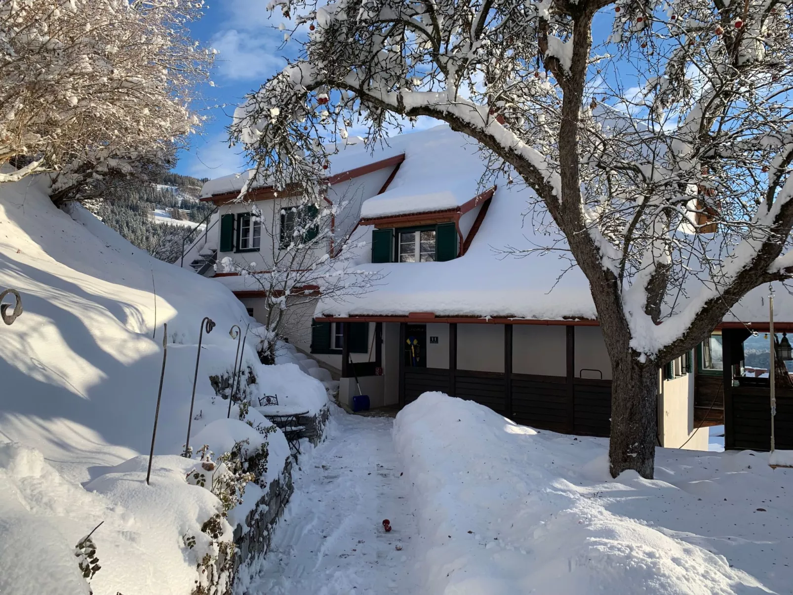 Chalet Elsa Murau - Draußen