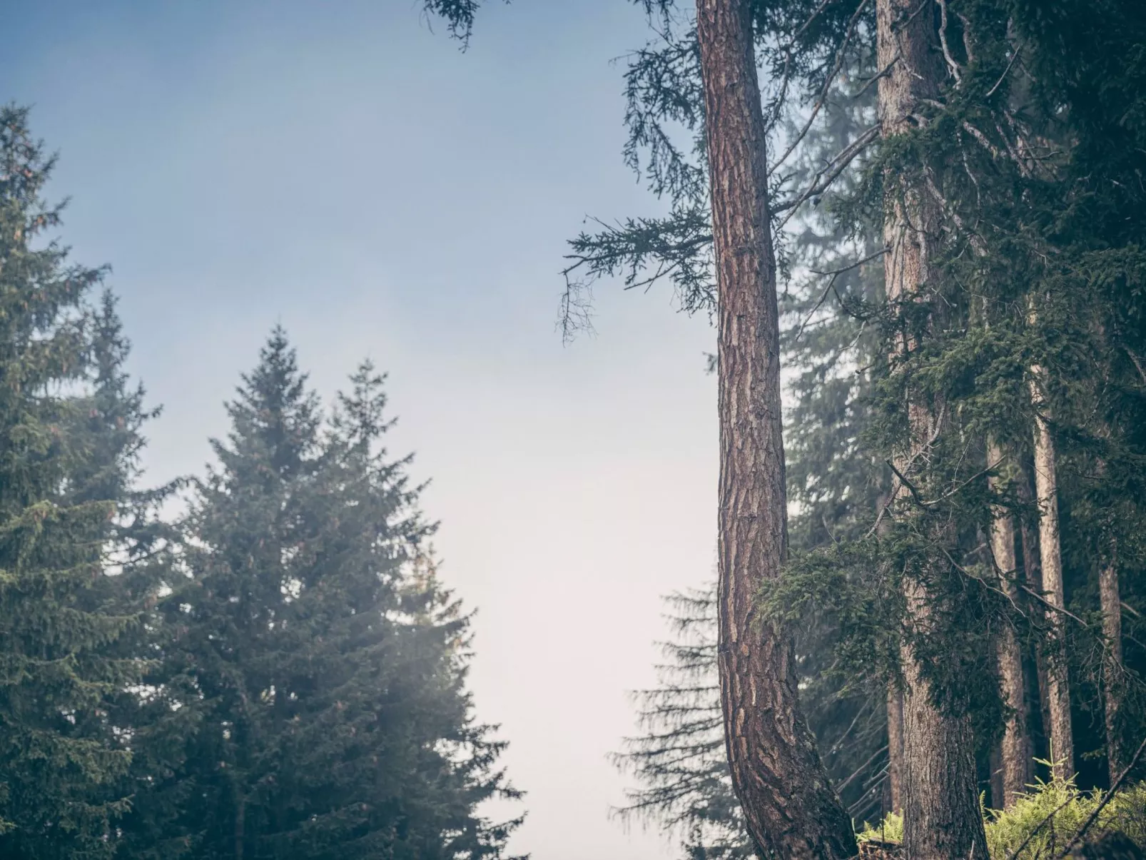 Berg Hütte Hochpillberg - Image-tags.info