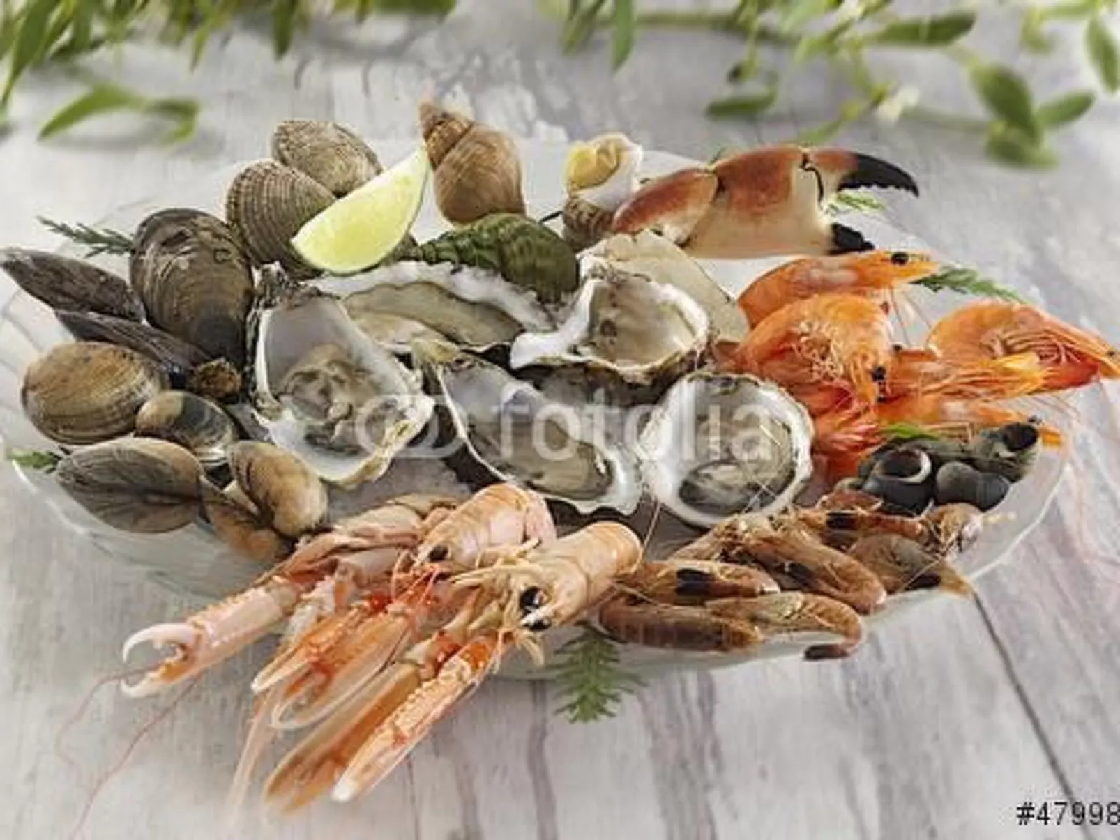 "Les flots bleus" (Die blauen Strände) - Drinnen