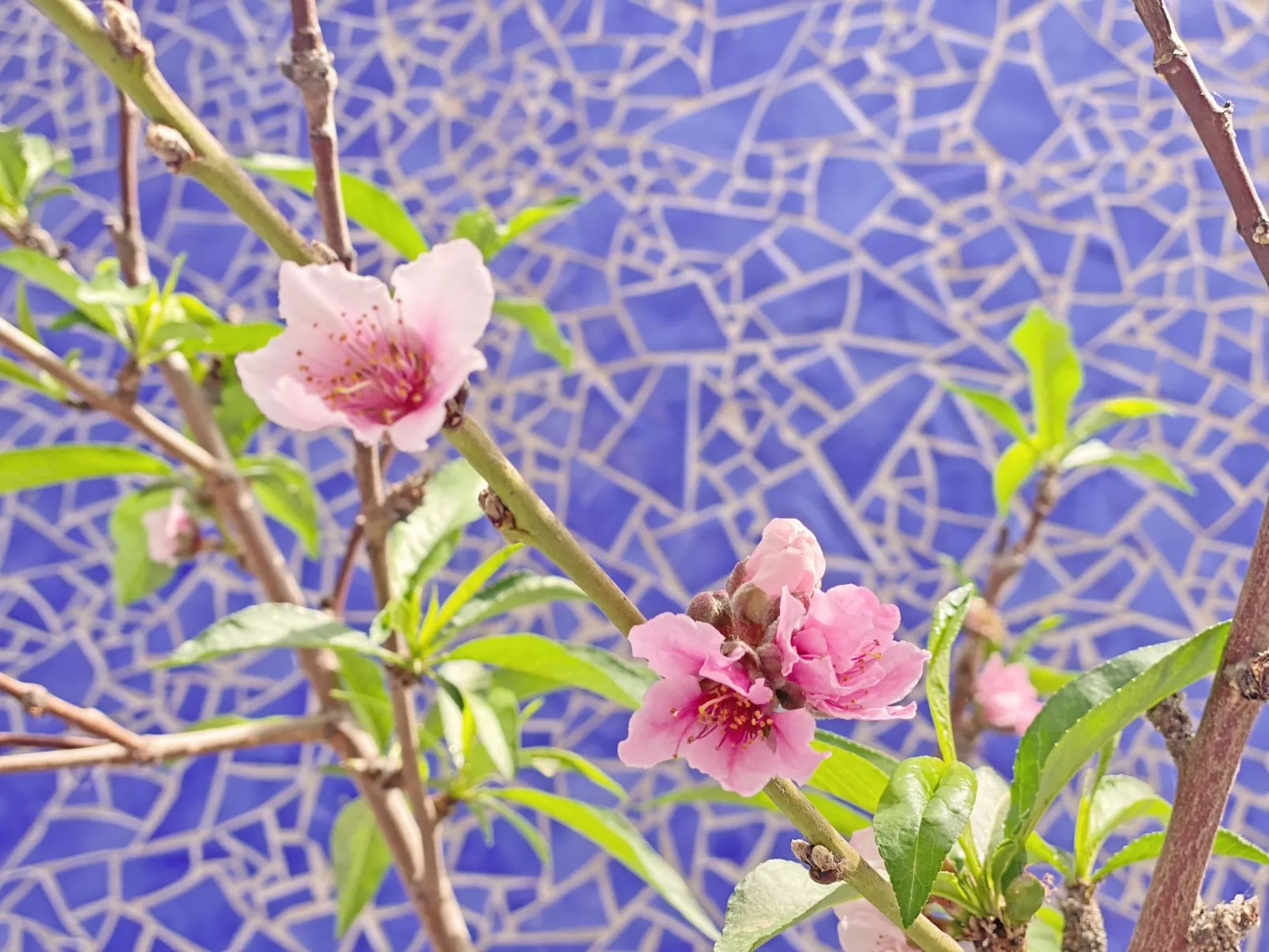 Villa Castillo Moro - Image-tags.info