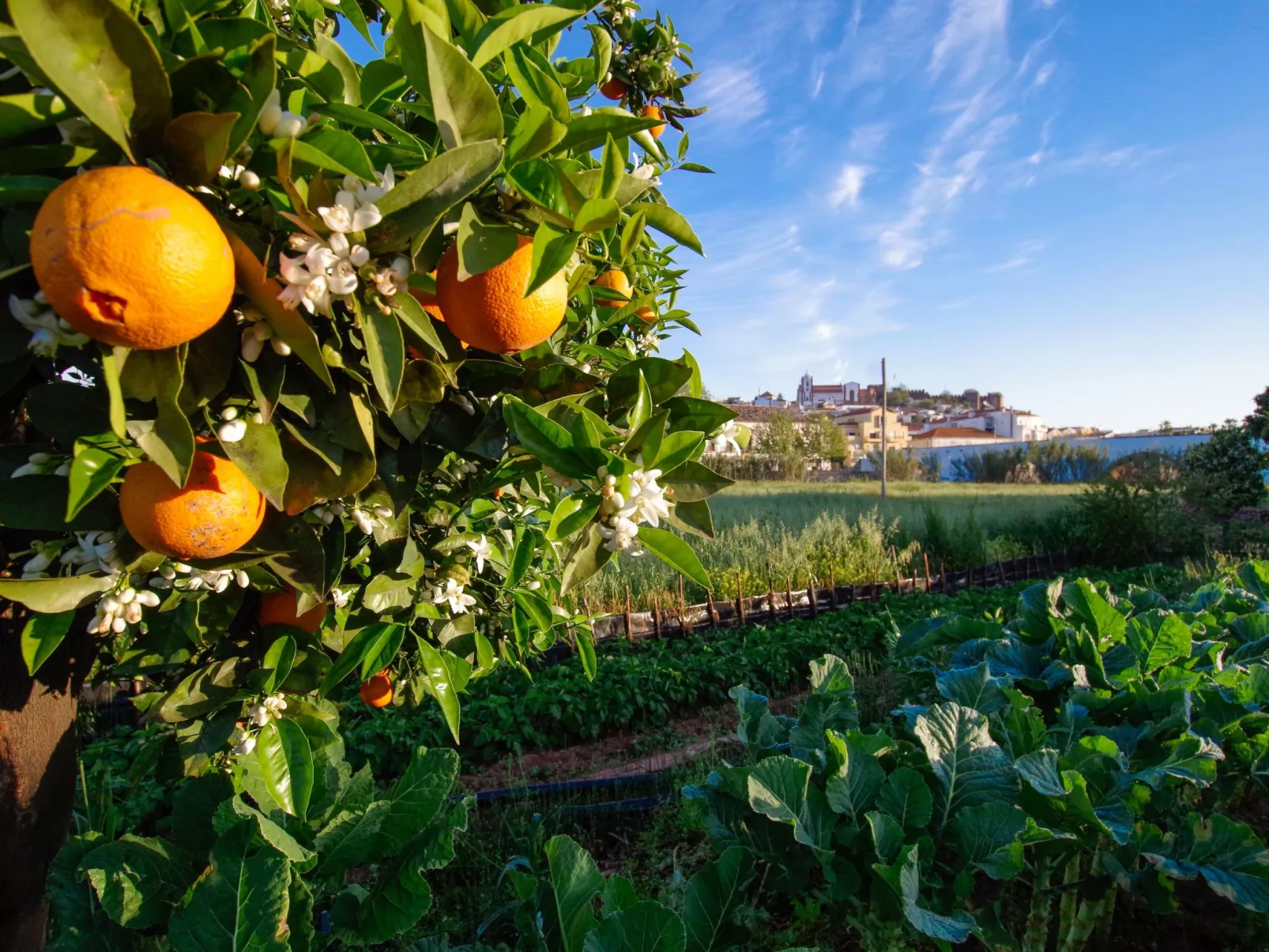 Casa Margarida Azul - Image-tags.info