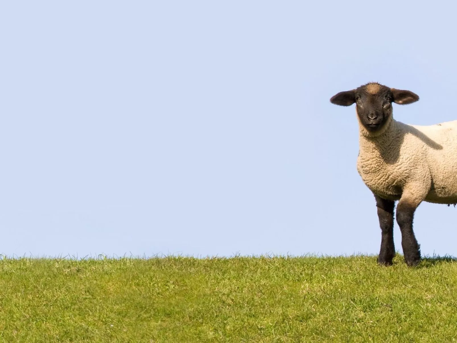 Kontor - Image-tags.info