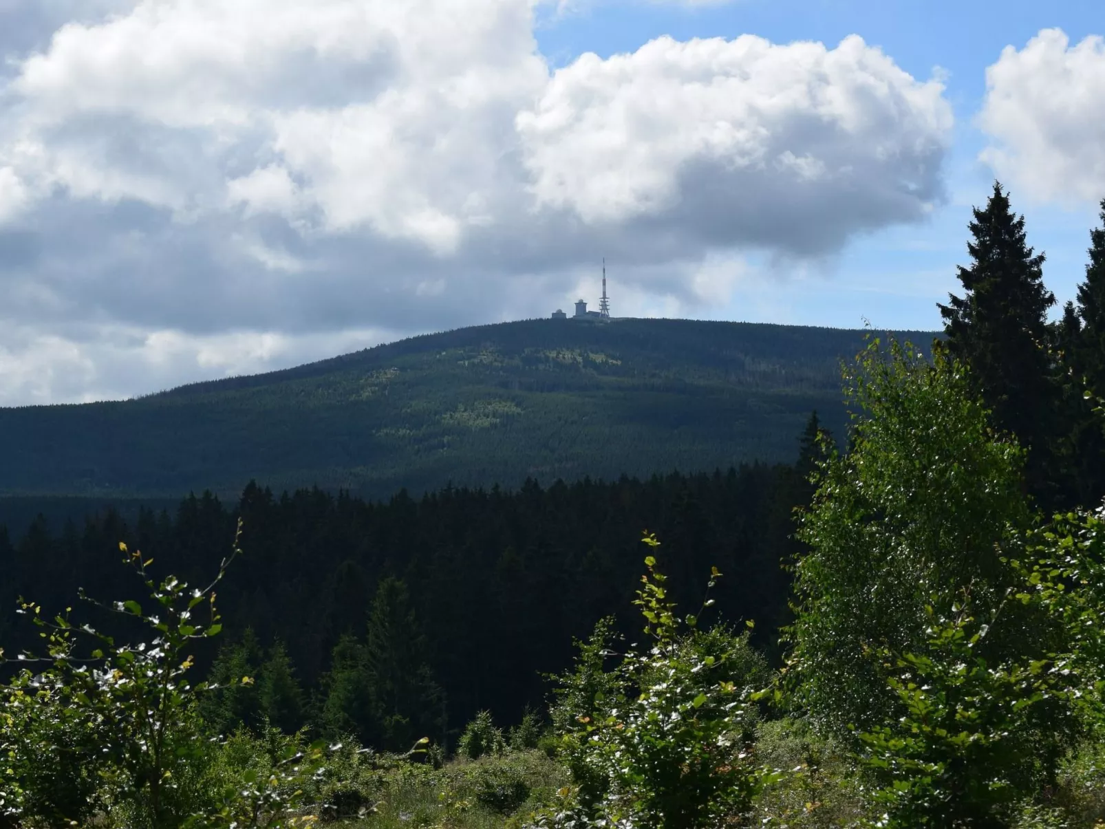 Wohnung Julius 5 - gemütlich und kinderfreundlich - Image-tags.info