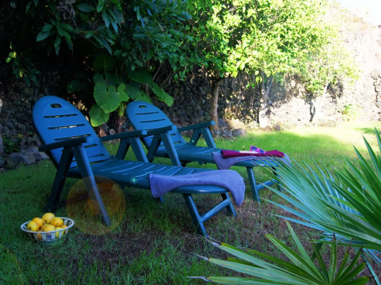 Primavera - Image-tags.info