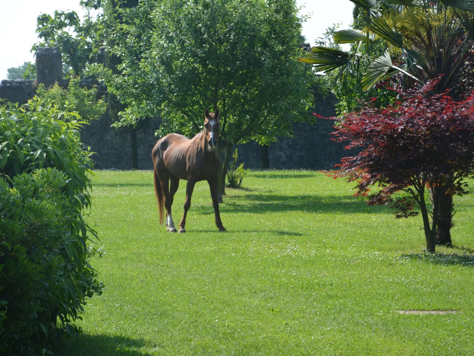 Apartment "Monika" - Image-tags.info