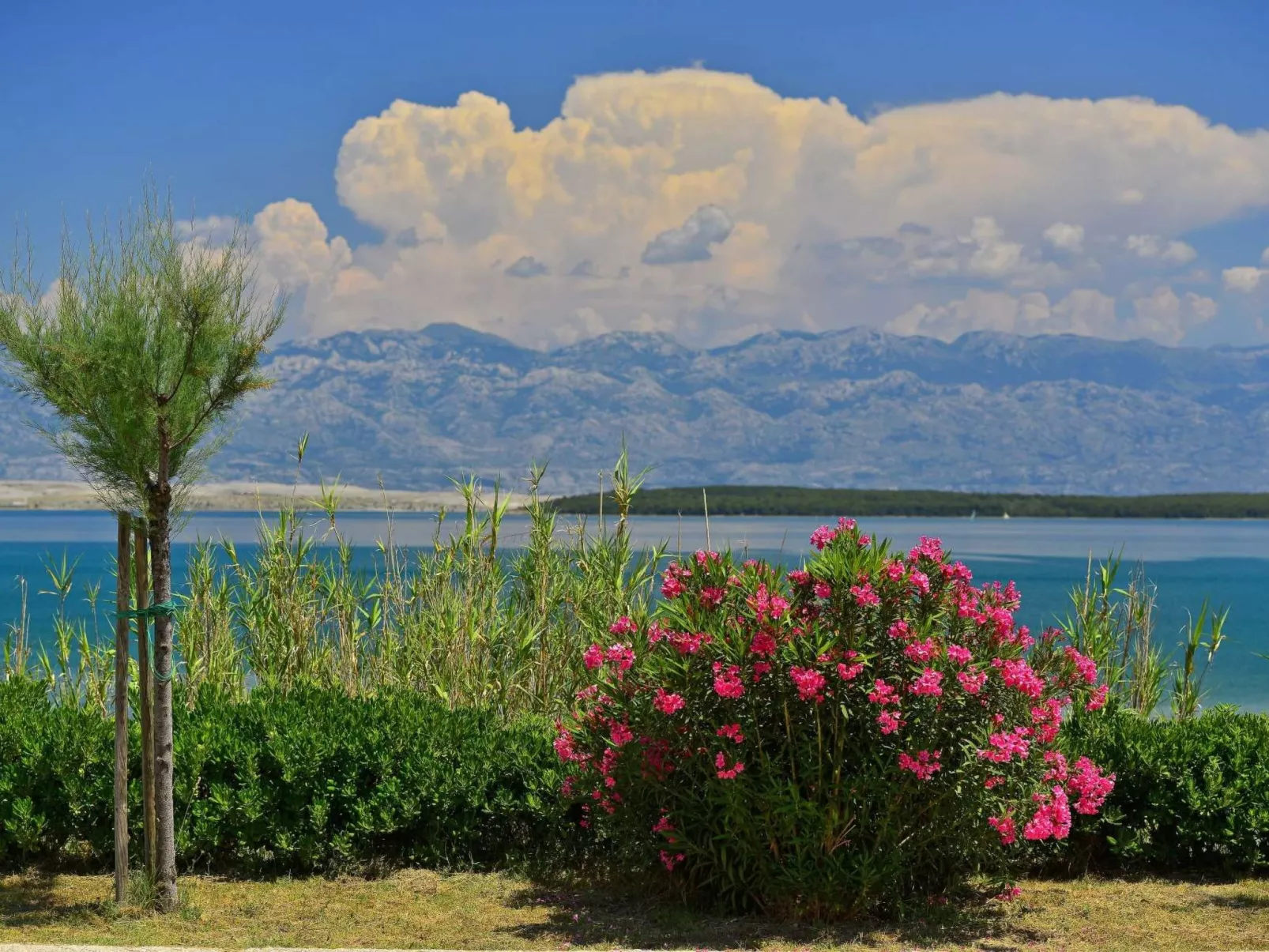 Villa "Mar" am Strand mit beheiztem Pool, Jacuzzi - Image-tags.info