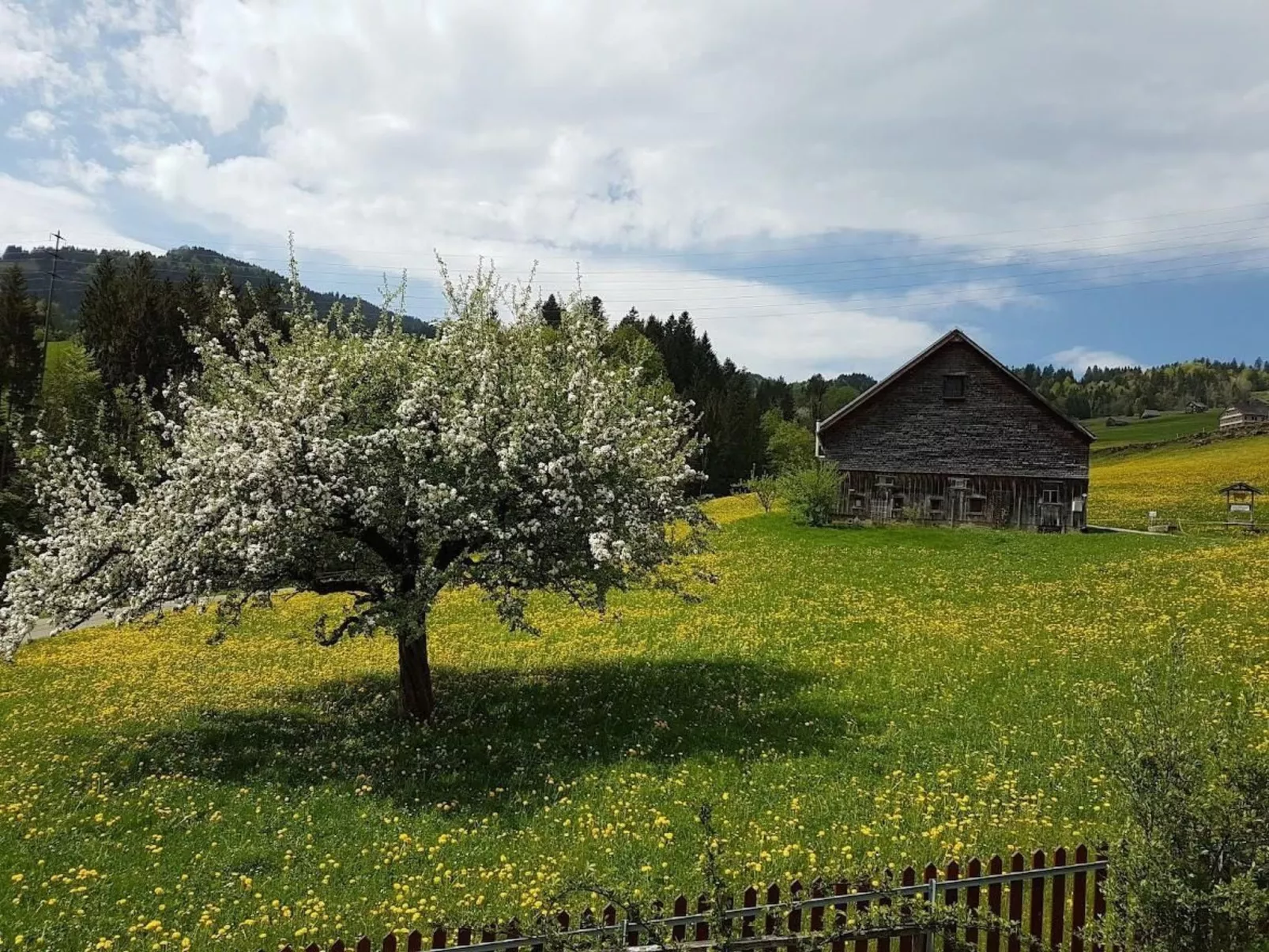 Gemütliche und geräumige Ferienwohnung - Dehors