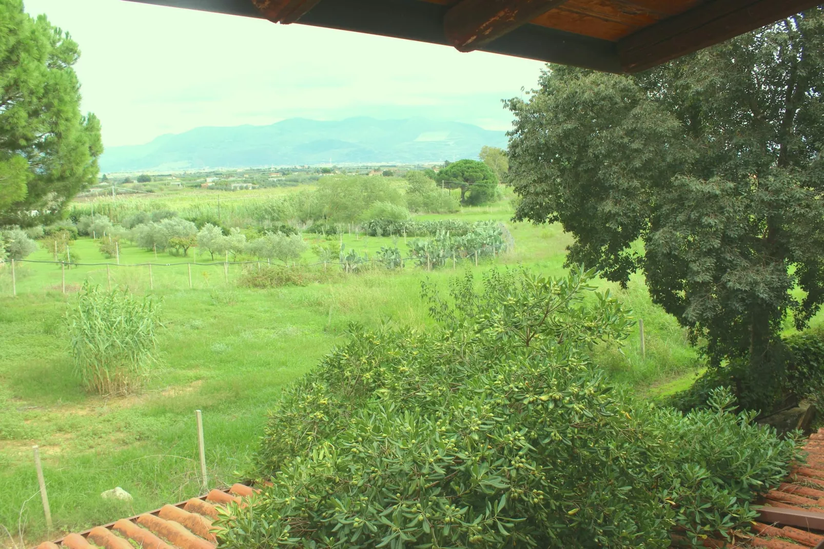 EMERALD HOME - Vue d'été