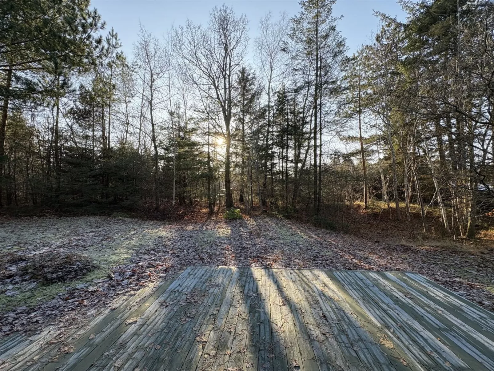 "Elfrede" - 900m from the sea - Outside