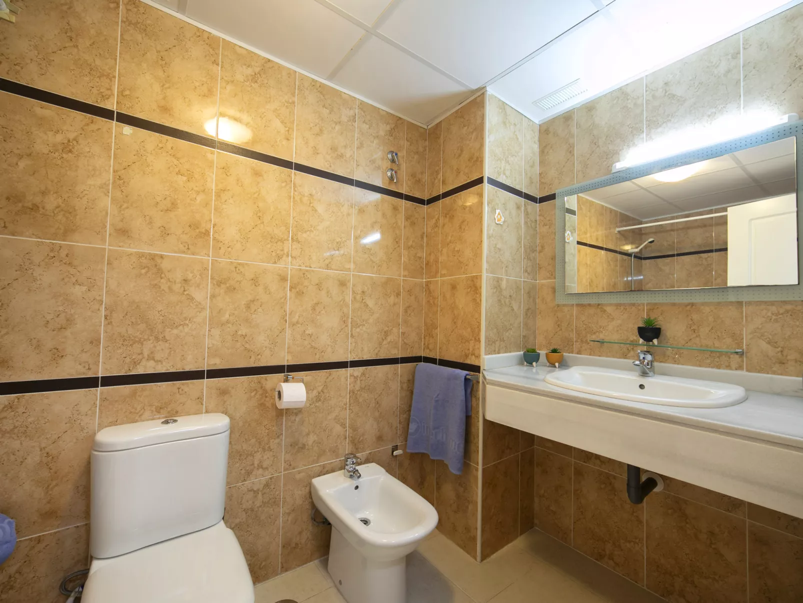 Apolo XVIII - Inside