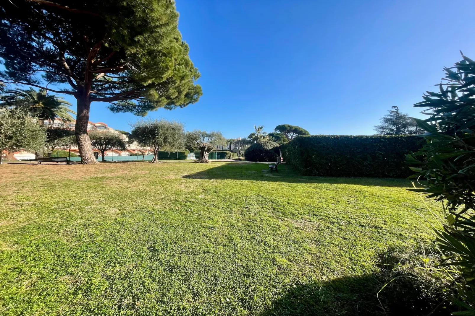 Vélusine - Garten Sommer