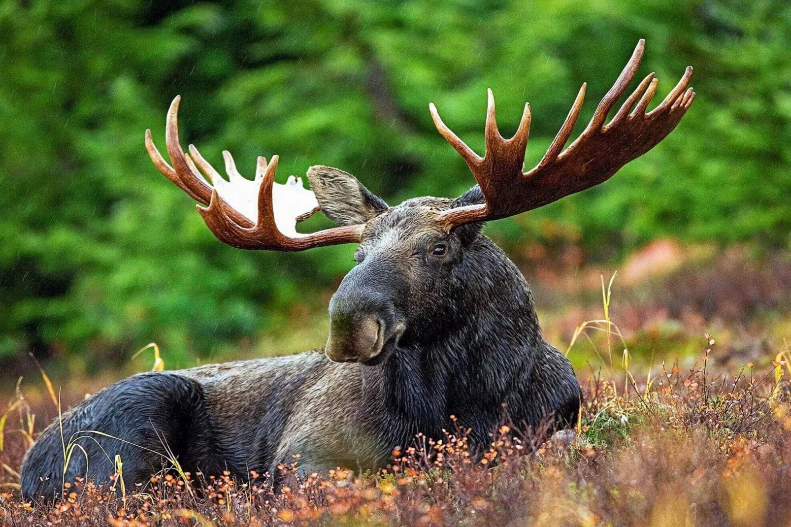 9 person holiday home in KÄLARNE-Untagged