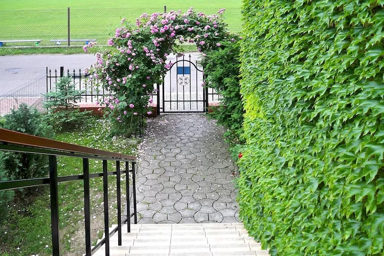 Dom wakacyjny w Stepnicy 7 osób - Terrasse