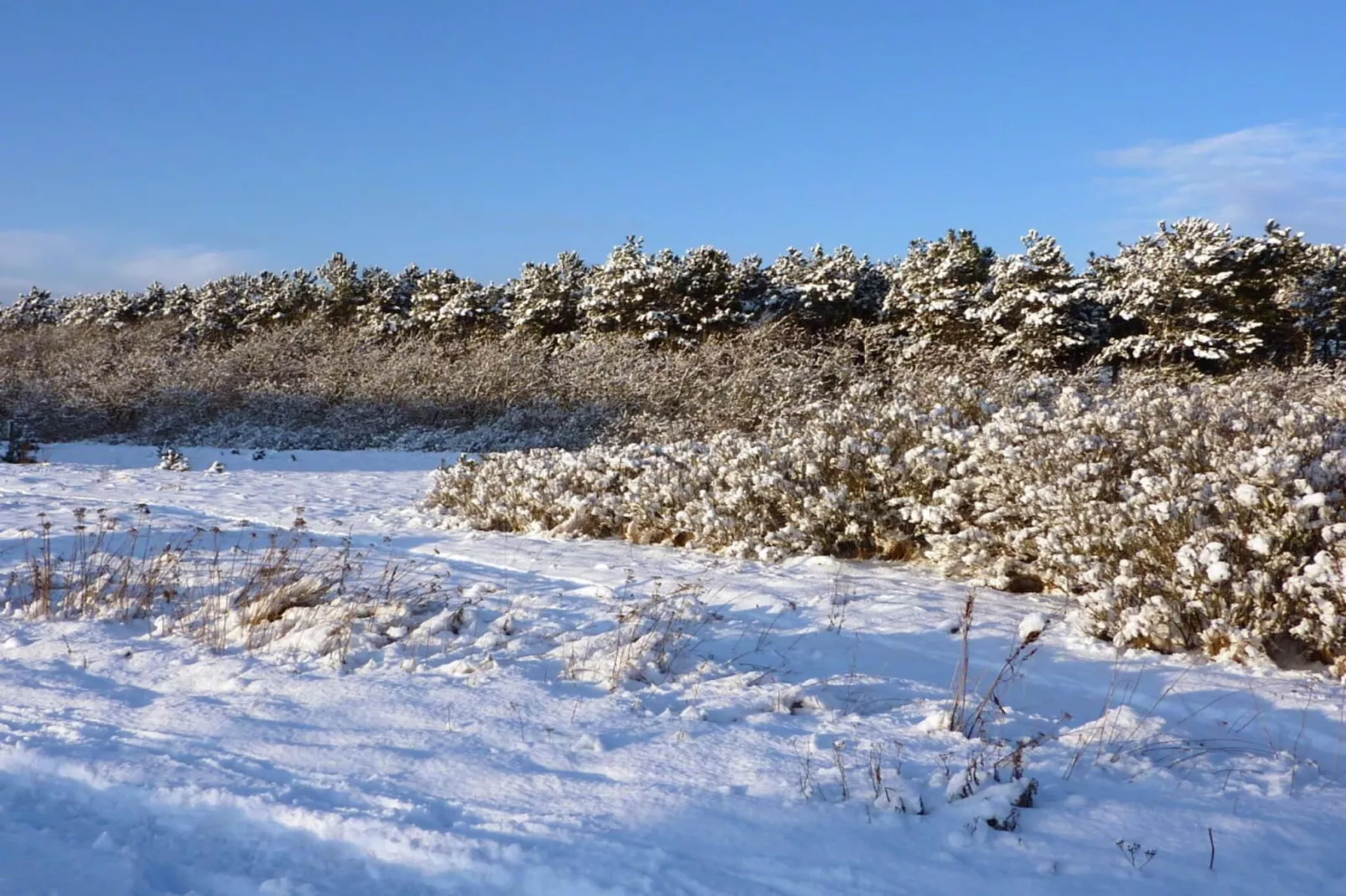 41327-Zones été à 5 km