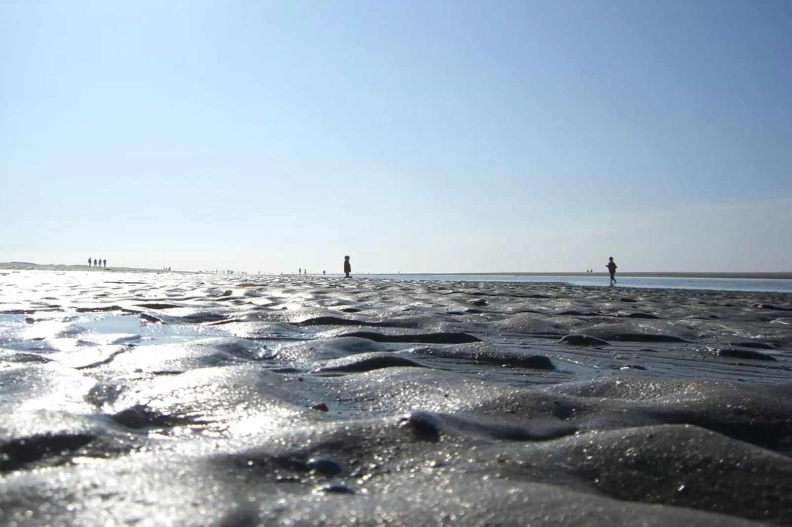 249875-Gebiete Sommer 5 km