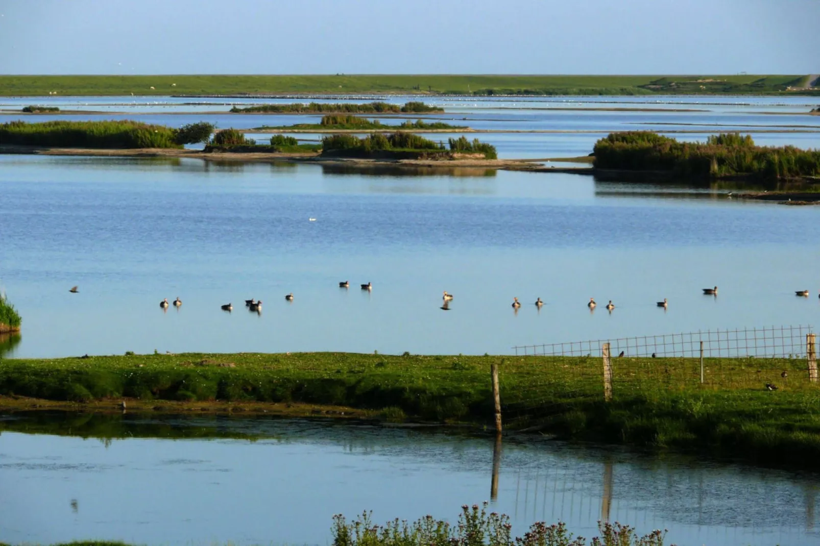 88087-Image-tags.water view