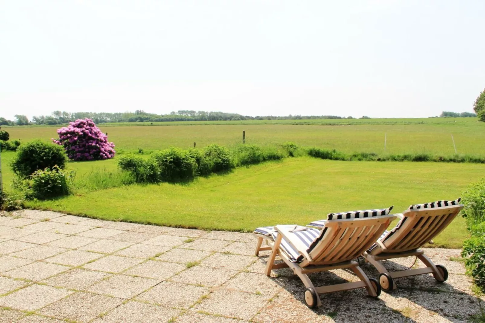 142985-Jardins en été