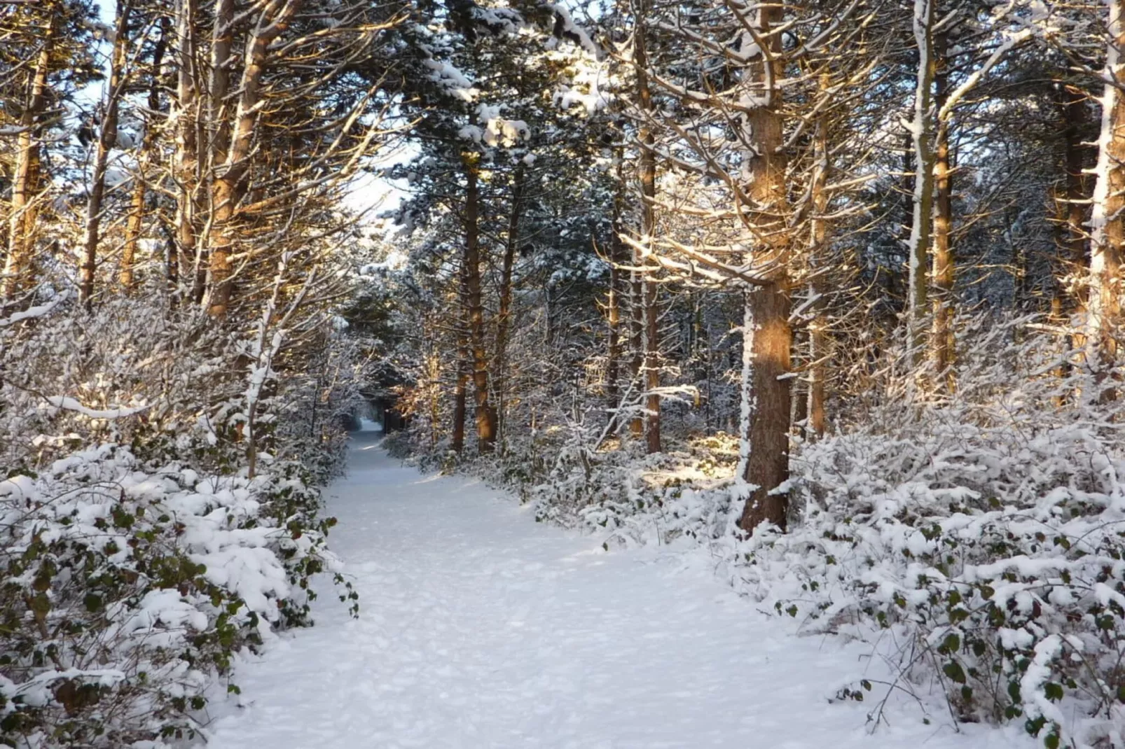 104214-Area within 20km in winter