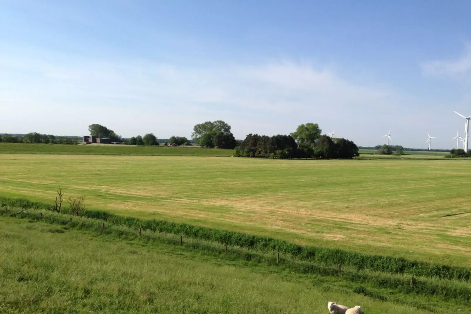 191412-Areas within 5km in summer