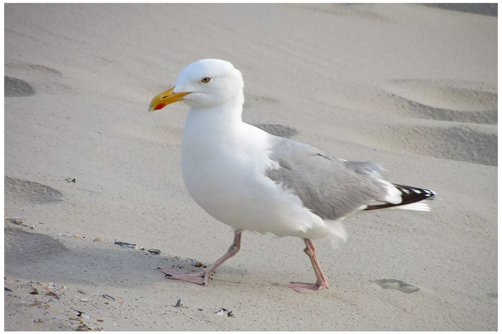 289188-Zones été à 5 km