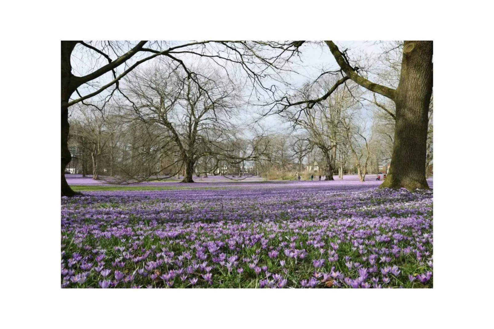 487221-Gebiete Sommer 5 km