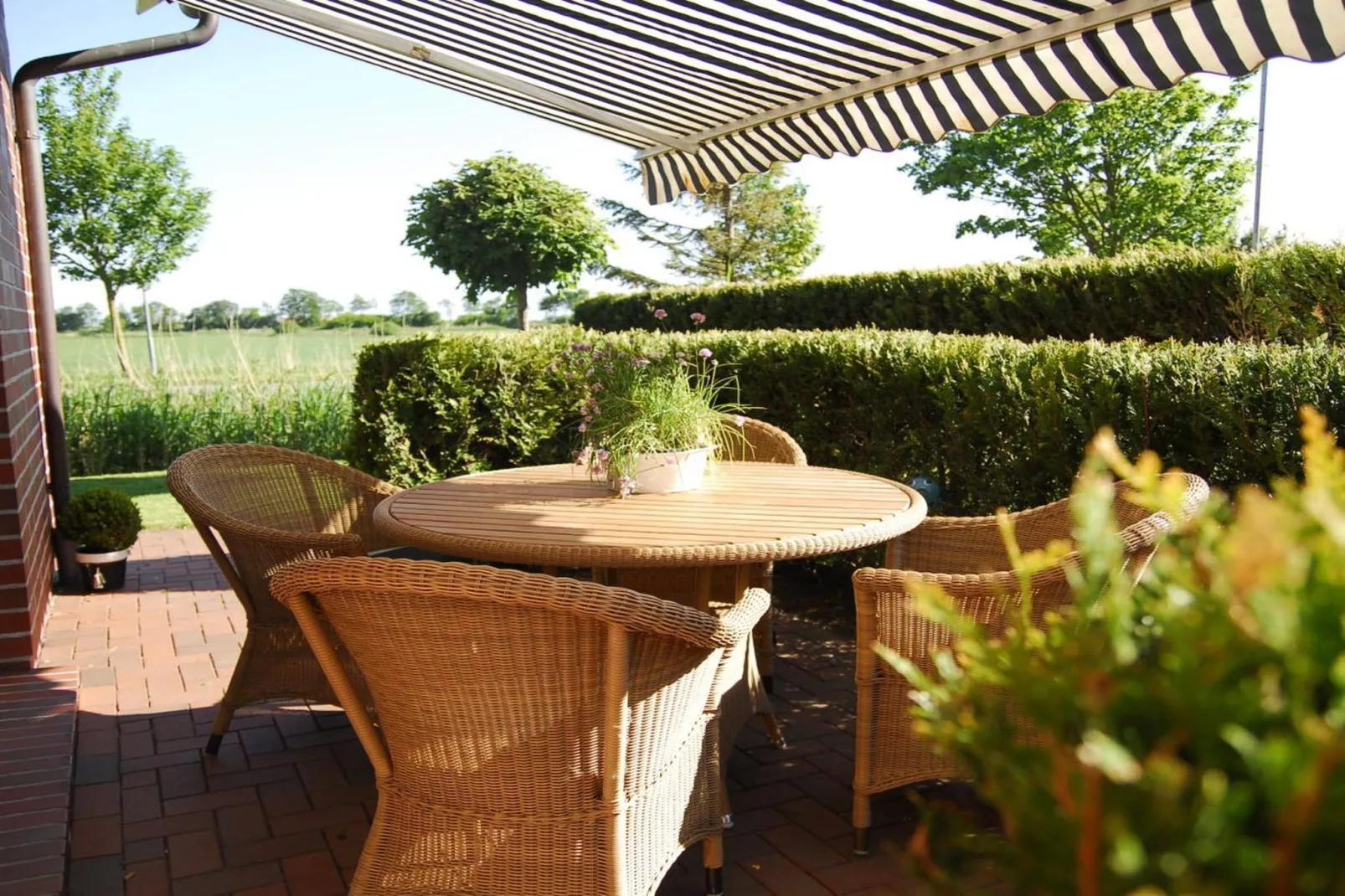 114416-Terrasse/Balkon