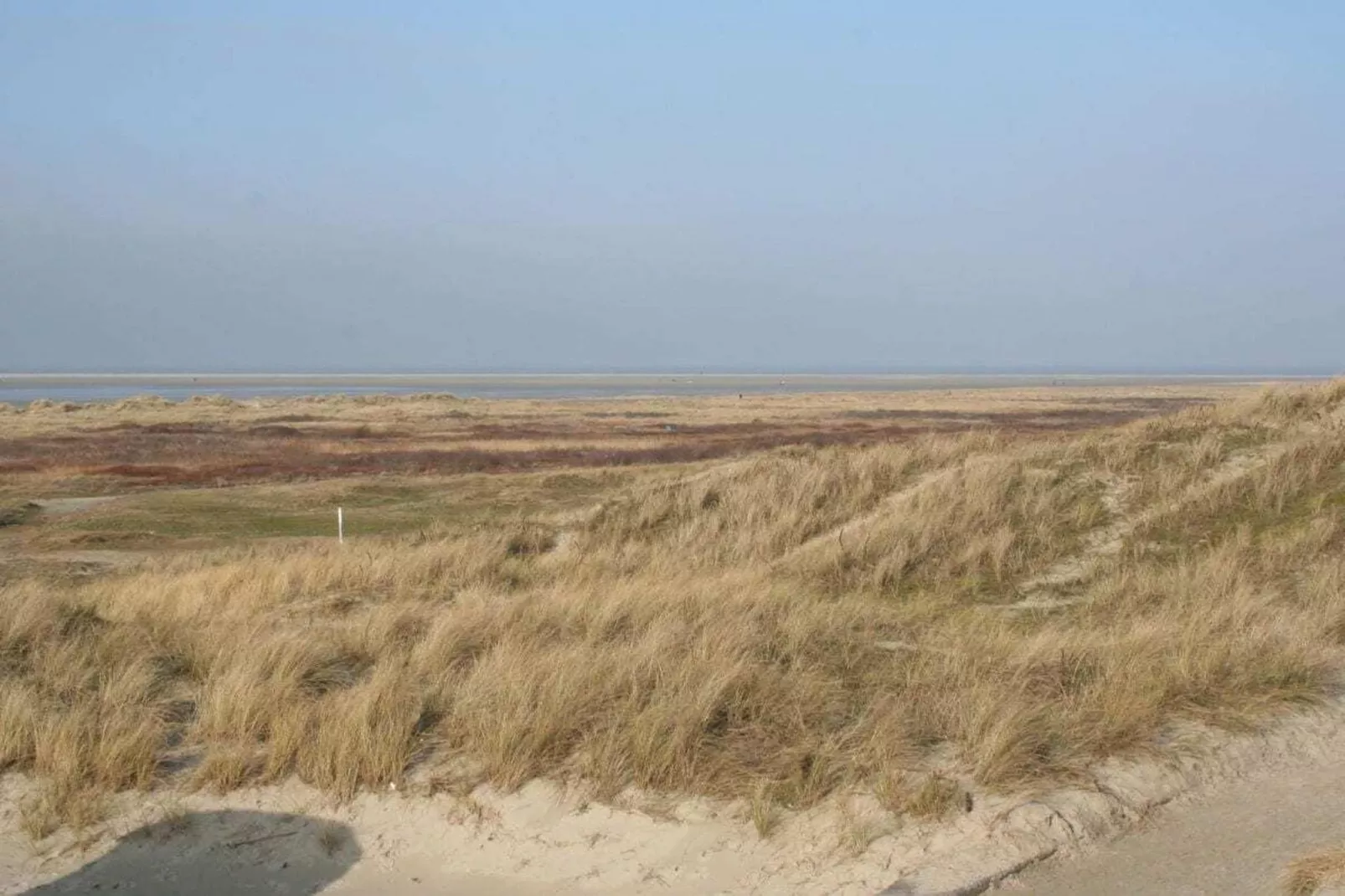 33324-Areas within 5km in summer