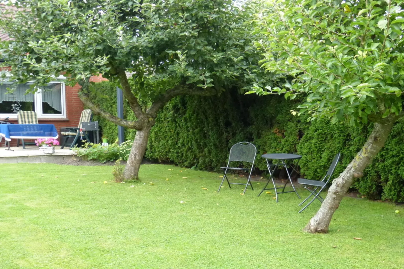 134769-Jardins en été