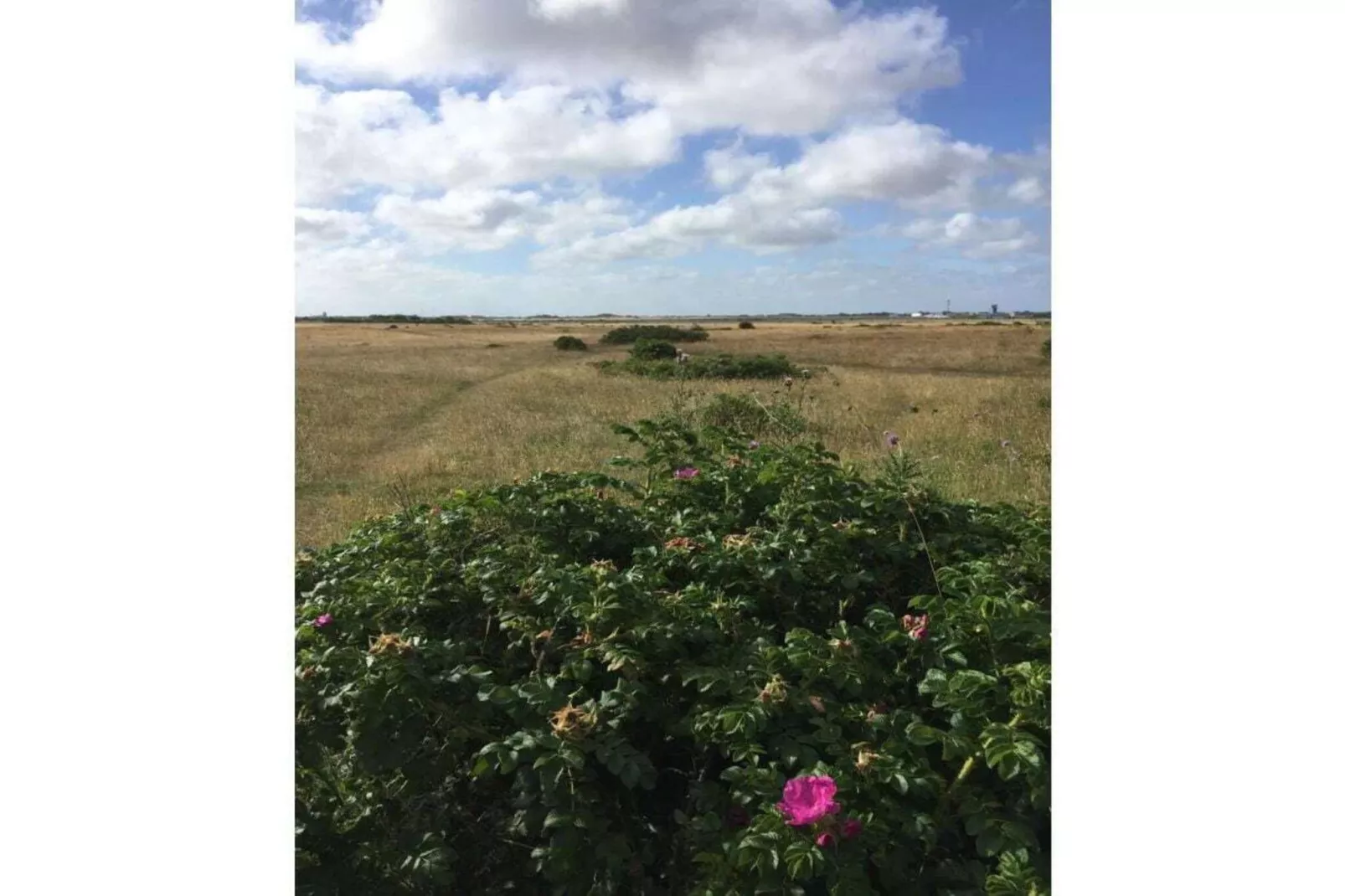 63510-Zones été à 5 km