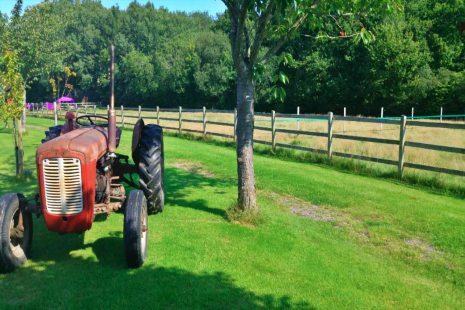 Shepherd's Hut at Hilltop Farm-Outdoor