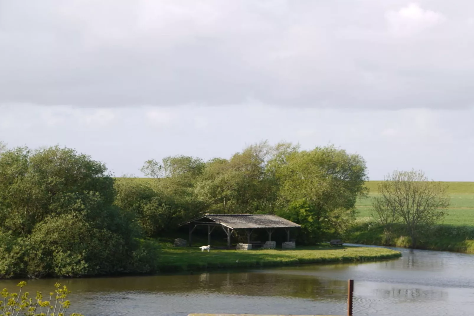 258163-Image-tags.water view