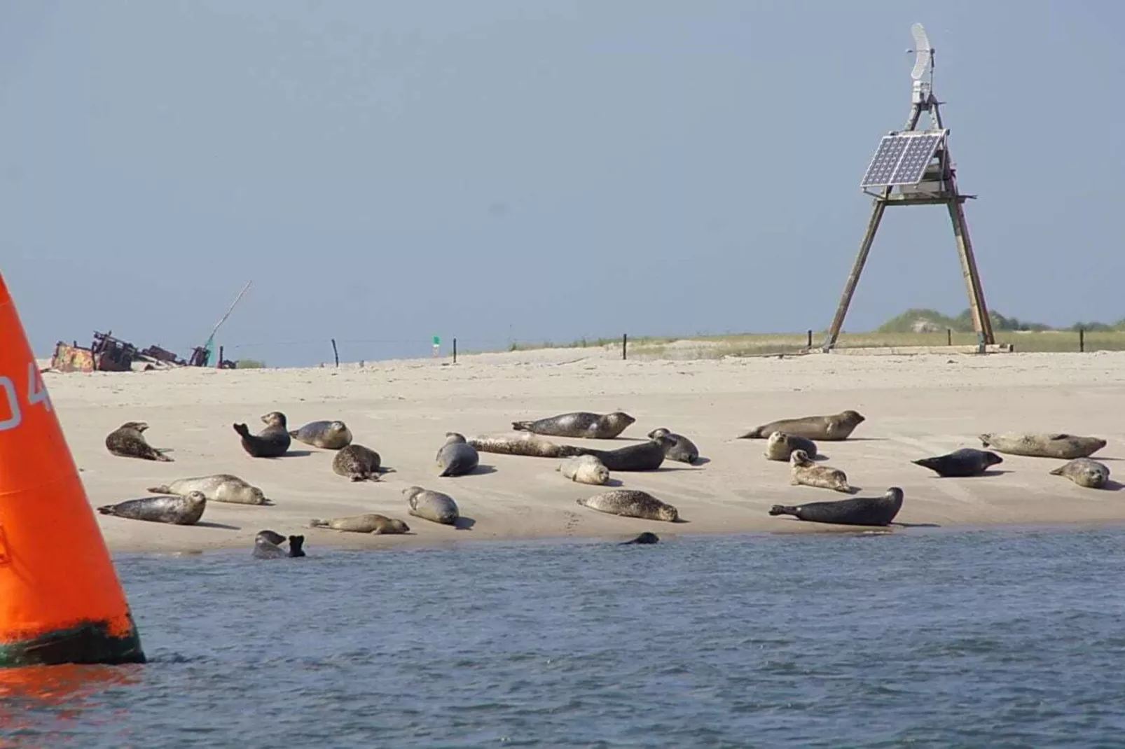 218789-Image-tags.water view