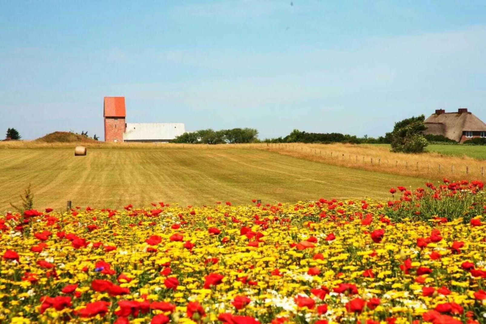 284435-Areas within 5km in summer