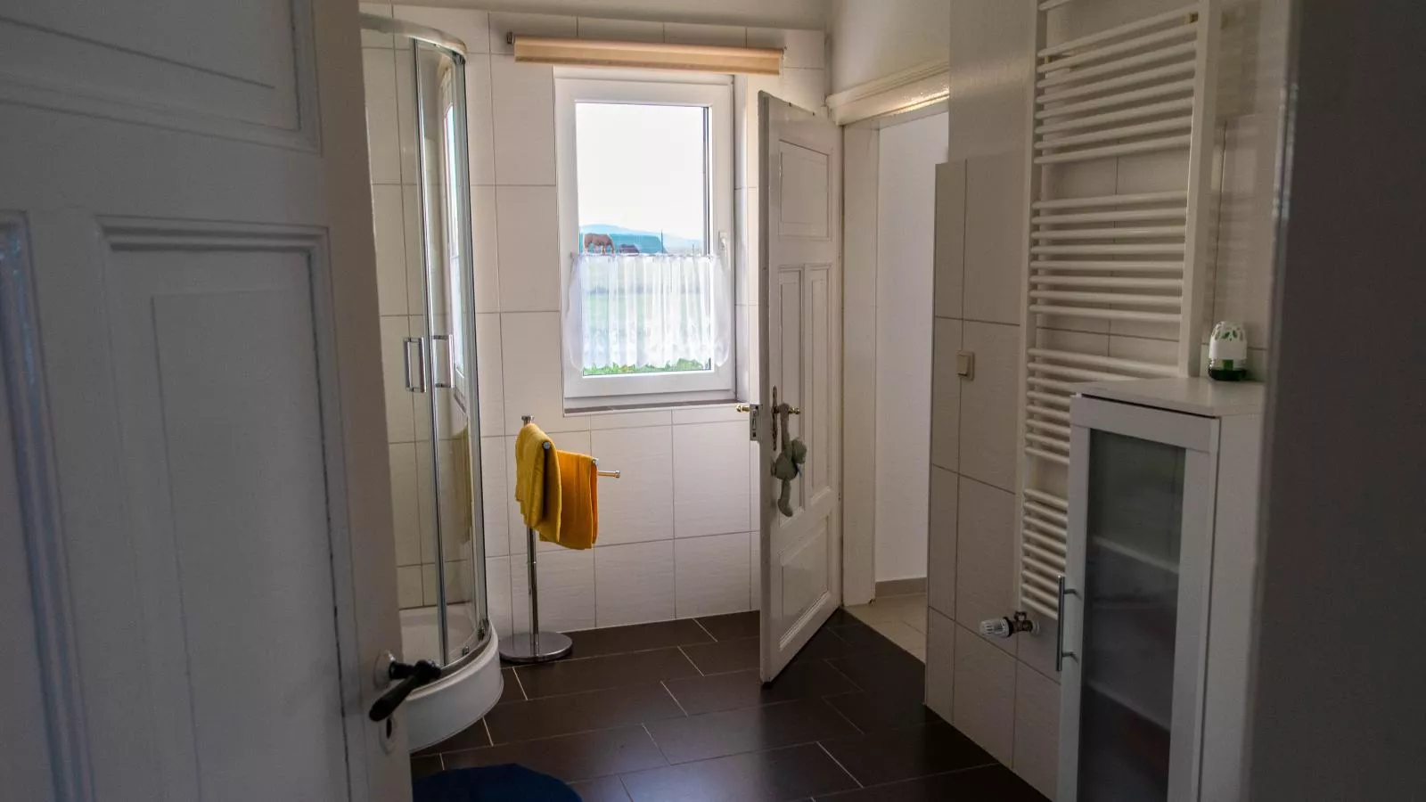 Brocken-Blick-Bathroom