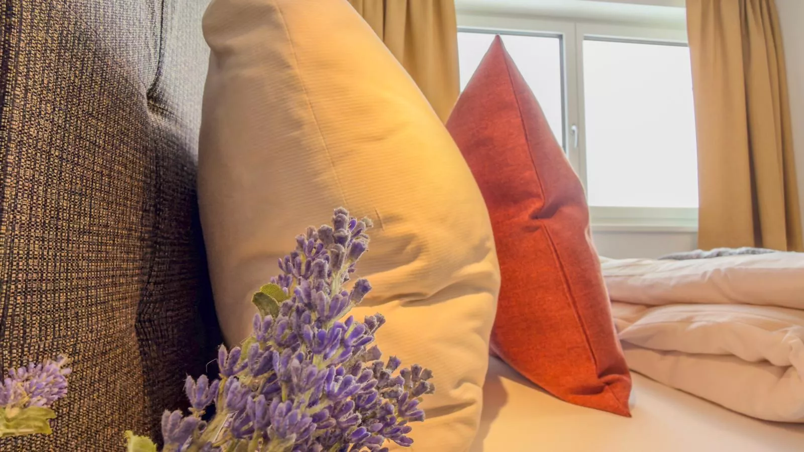 Bockblick Top 6-Chambre