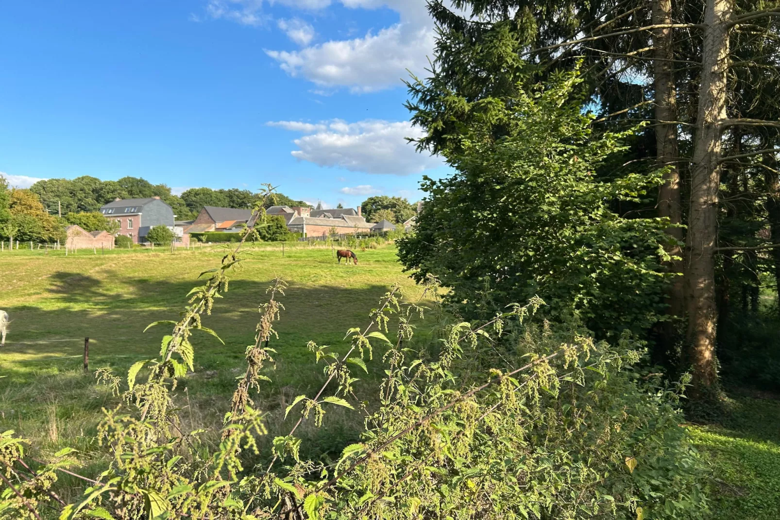 L'Ecureuil Blanc-Gardens in summer