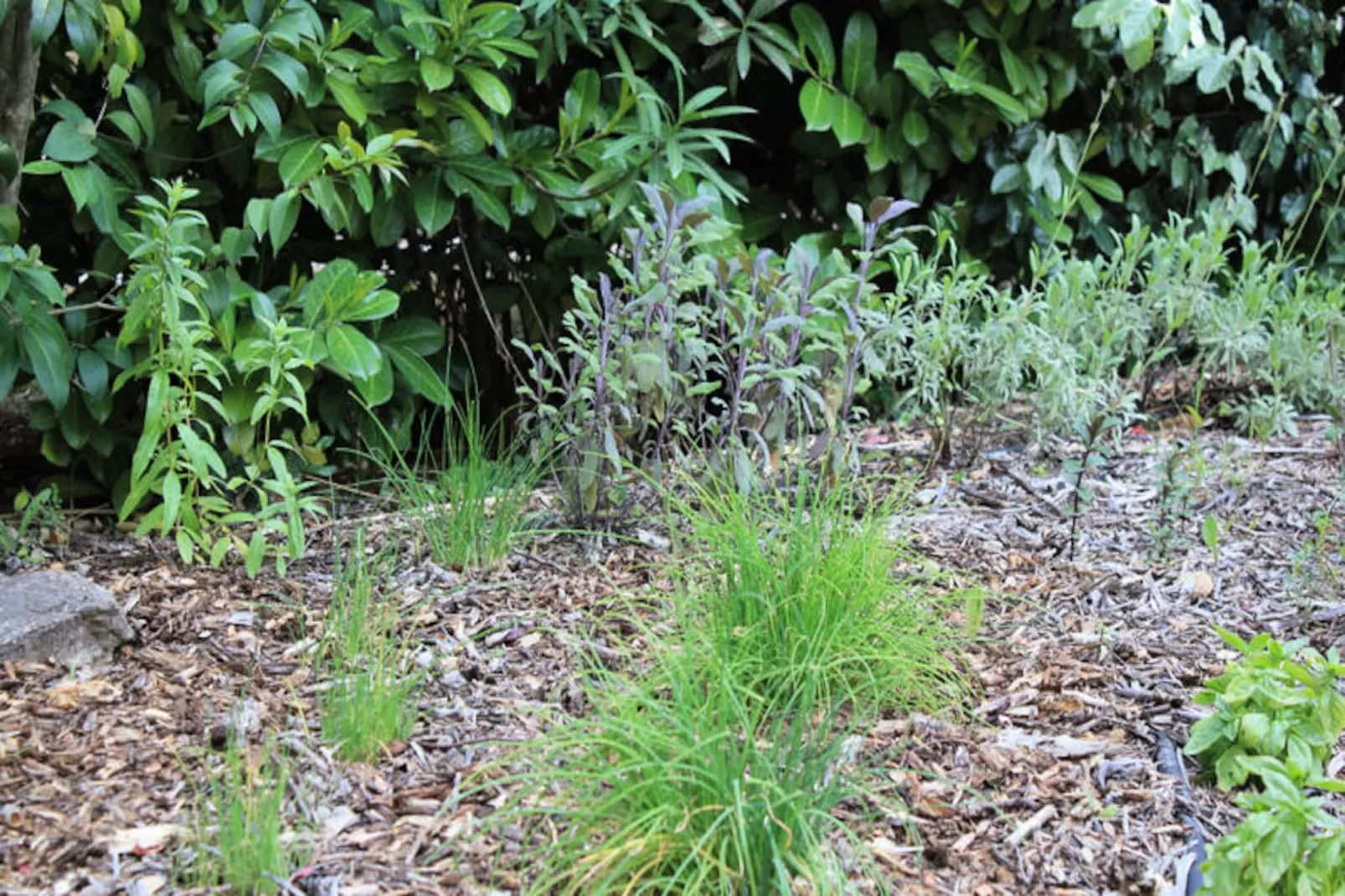 Lou Penequet, Mas Typique Avec Piscine En Provence, Nature, Calme-Non tagué