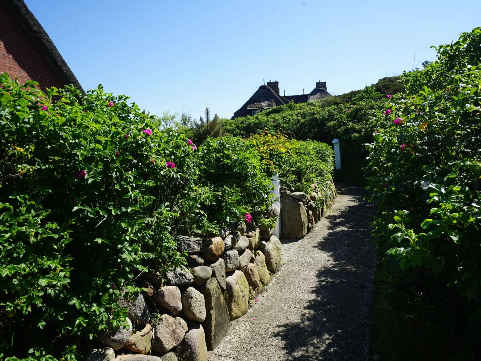 Dikstig - D8R - in Kampen auf Sylt-Outside