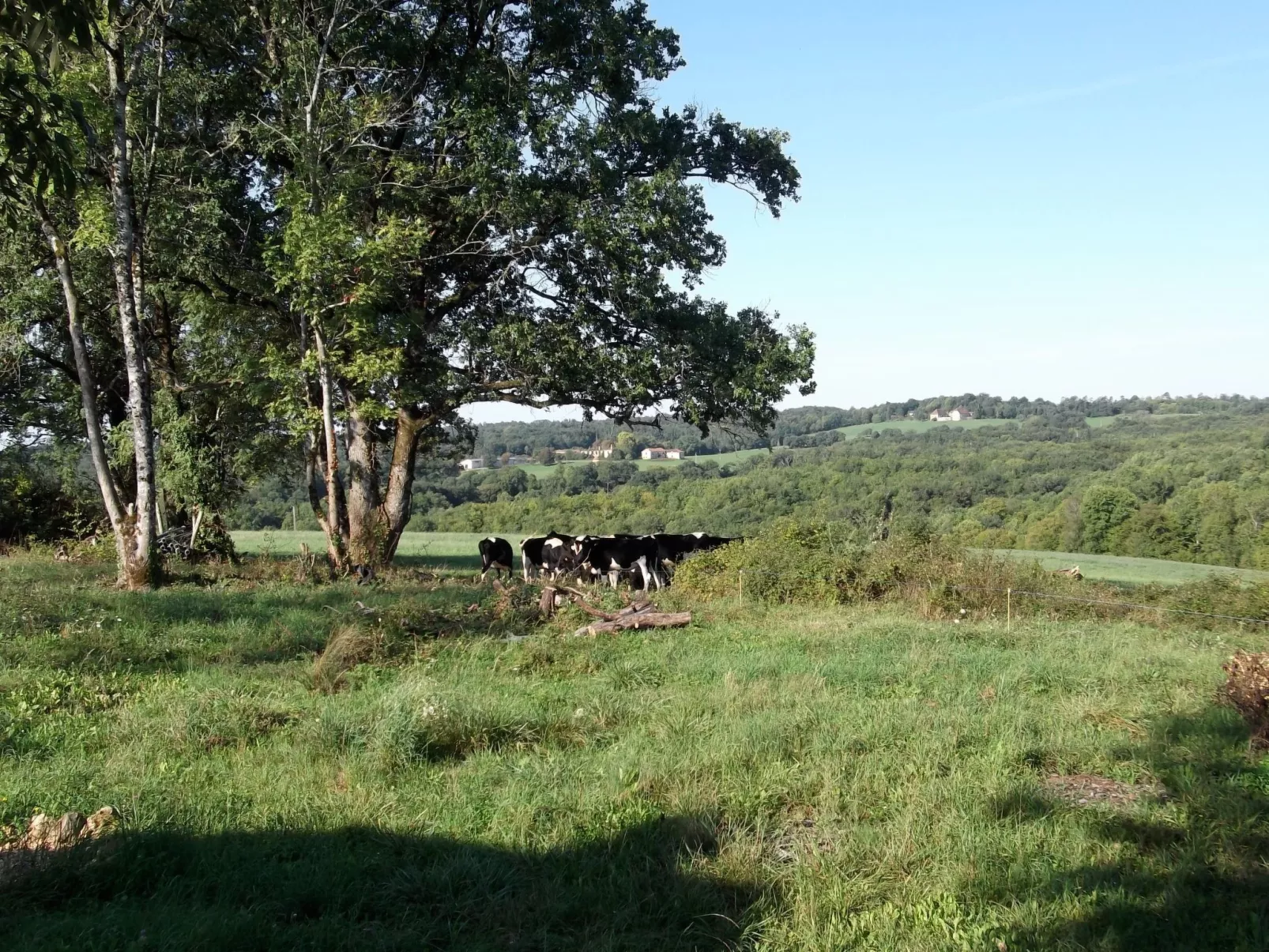 Das Kleine Haus-Dehors