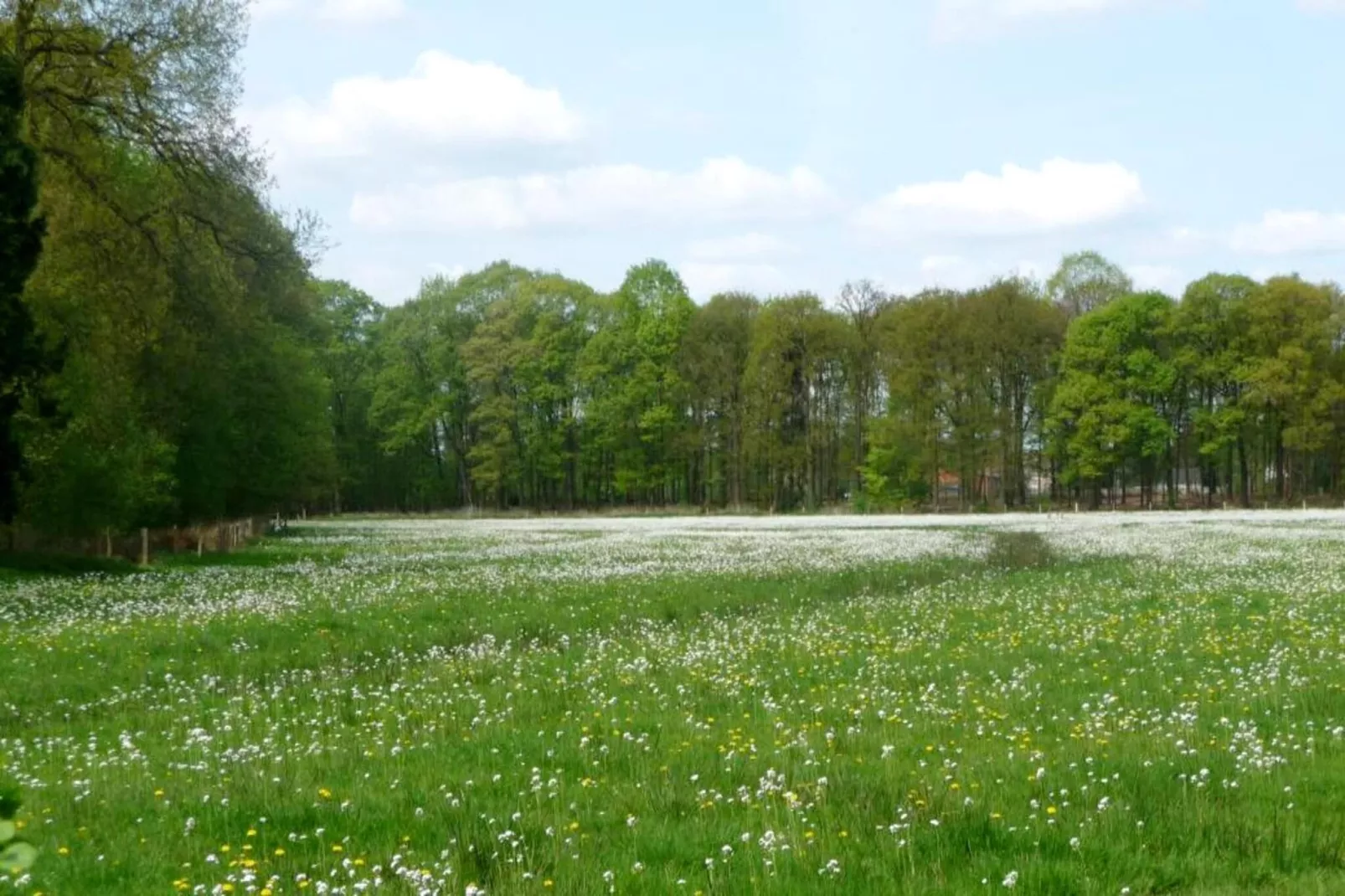 Sun Lodges - 6p-Gebiete Sommer 5 km