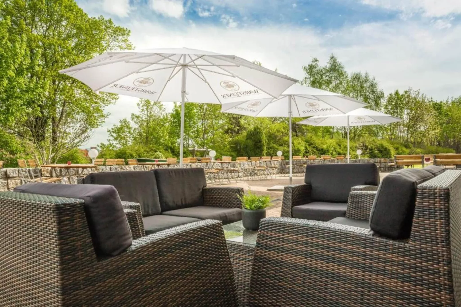 Wheelchair accessible Double Room-Terrasse / balcon