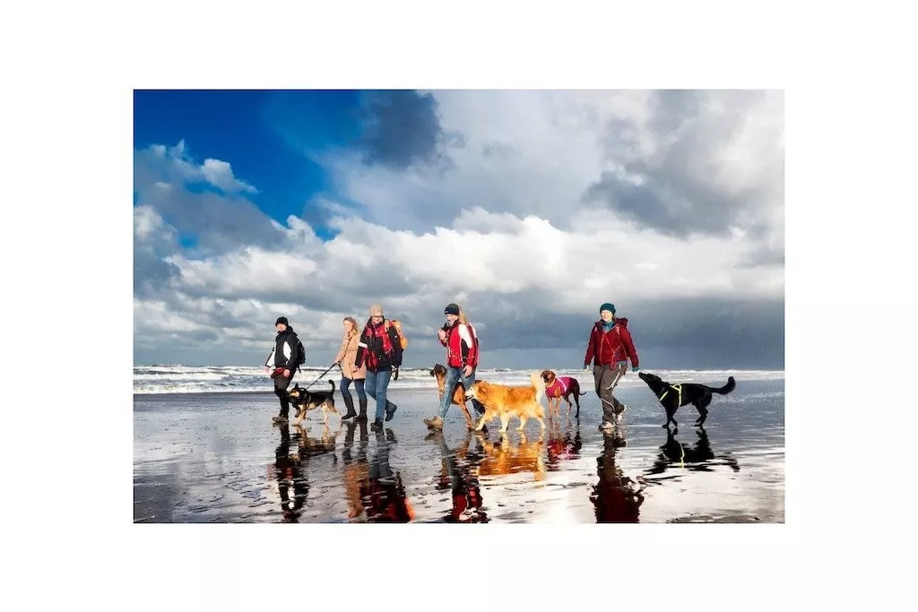 273134-Nicht zugeordnet