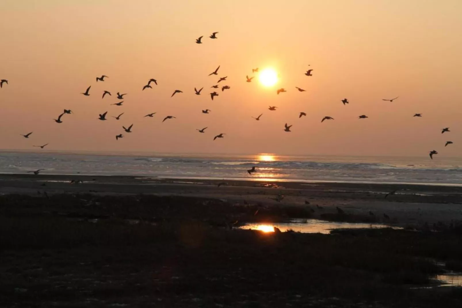 Duinchalet-Gebiete Sommer 20 km