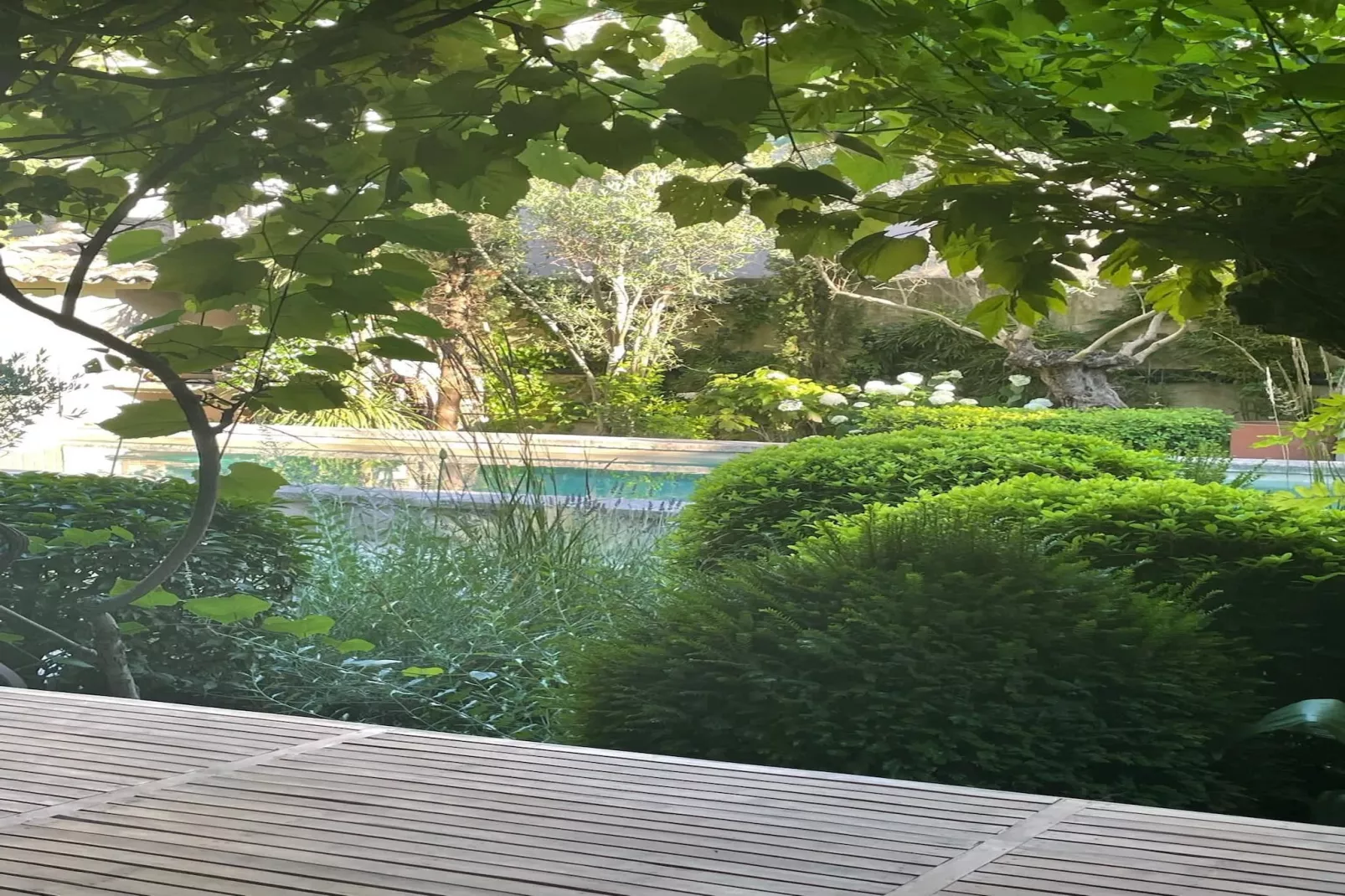 Mas Maillane demeure du XVIIIe entièrement rénové-Swimming pool