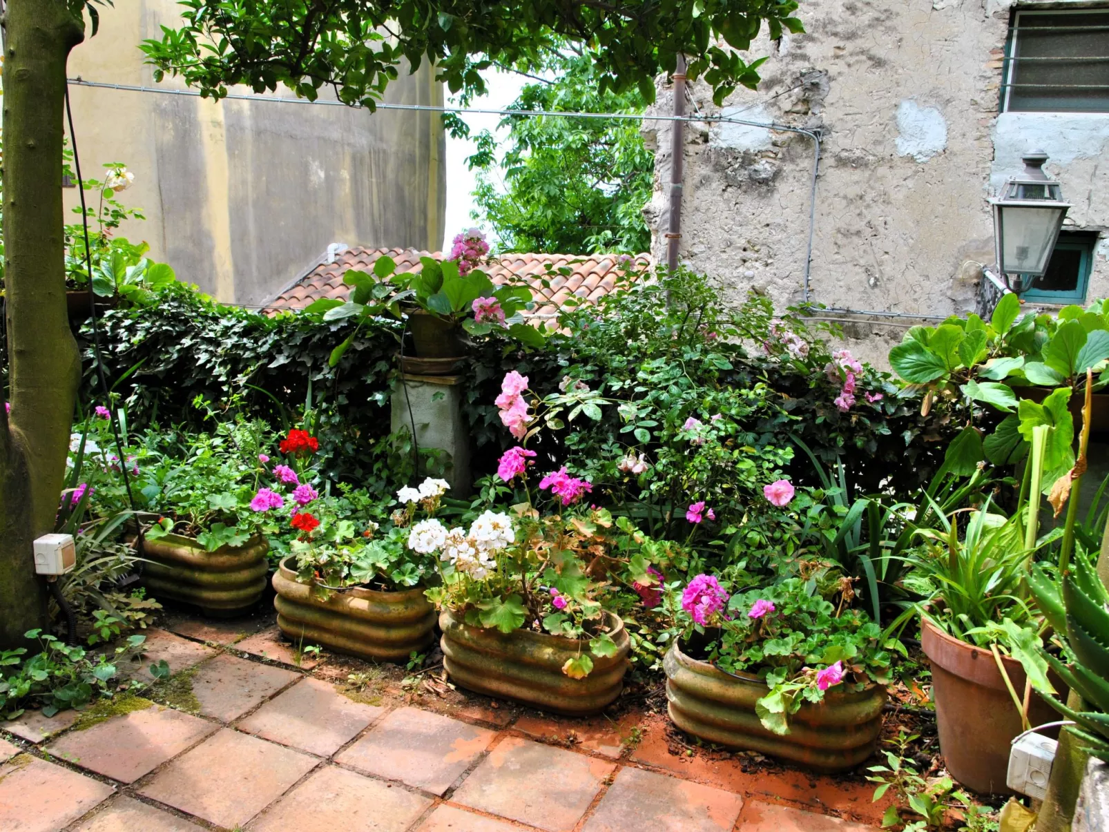 Giardino dei Limoni - Dehors