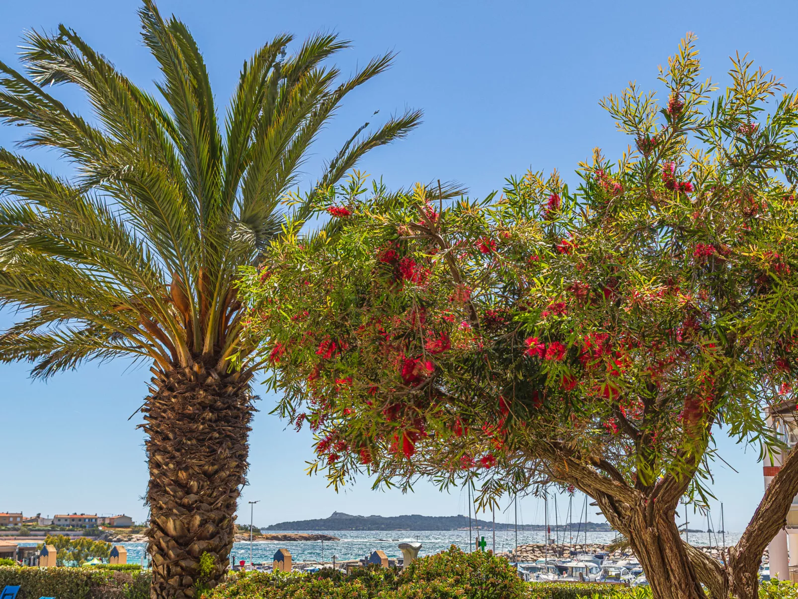 Les Rivages de Coudoulière - Drinnen